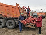 Овощные наборы